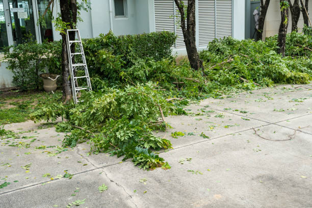 Best Palm Tree Trimming  in Valparaiso, FL